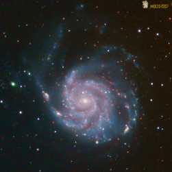 汶川太子坟再次打野