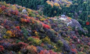 北京的秋——香山如梦，妙峰胜境，星月澄清