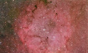 2011 第1照- ＩＣ１３９６