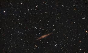 奉贤海边酱油夜 ngc 891